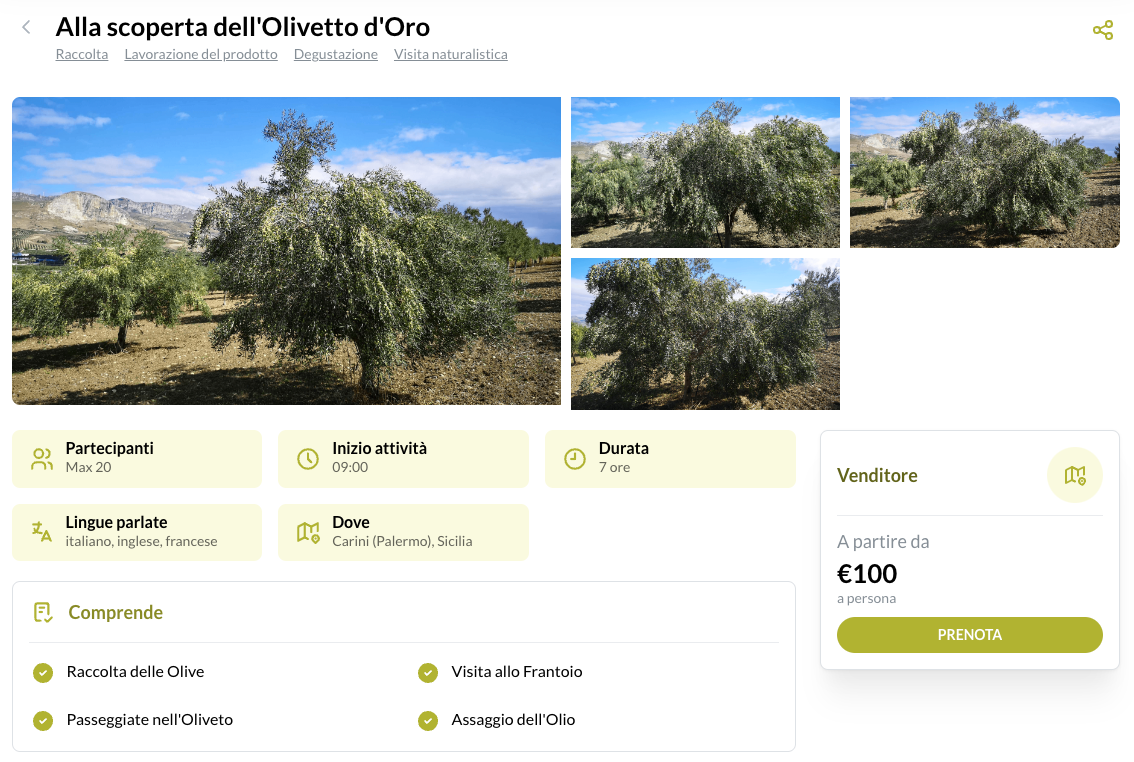 Esplora i dettagli delle esperienze